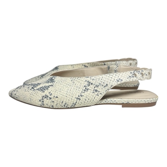 Cole Haan Snakeprint Slingback Pointed Toe Flats Merrit Skimmer Women’s size 11B - Picture 2 of 14
